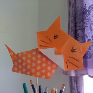 Meet your Posher, Bobbie